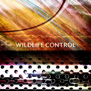 Wildlife Control - Darkness