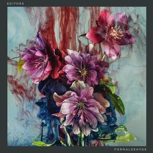 Editors Formaldehyde Artwork