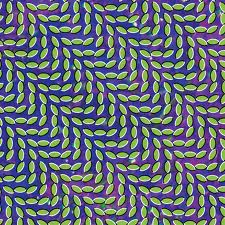 Animal Collective - My Girls