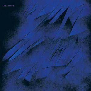 The Knife - We Share Our Mother's Health (Ratatat Remix)