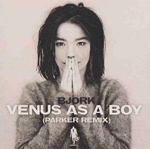 Björk - Venus as a Boy (Parker Dubstep Remix)