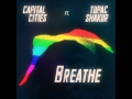 Pink&#x20;Floyd&#x20;vs.&#x20;Tupac Breathe&#x20;&#x28;Capital&#x20;Cities&#x20;Mashup&#x29; Artwork