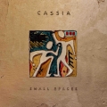 Cassia Small&#x20;Spaces Artwork