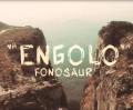 Fonosaur Engolo Artwork
