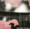 Tora Why&#x20;Won&#x27;t&#x20;You&#x20;Wait Artwork