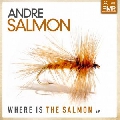 Andre&#x20;Salmon Where&#x20;Is&#x20;The&#x20;Salmon&#x20;&#x28;Original&#x20;Mix&#x29; Artwork
