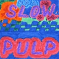 Slow&#x20;Pulp Preoccupied Artwork