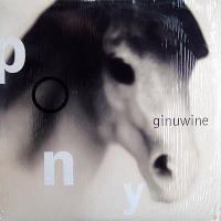 Ginuwine - Pony