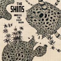 The Shins - Sleeping Lessons