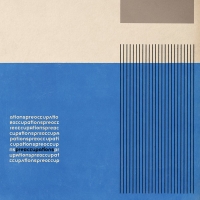 Preoccupations - Degraded