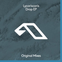 Lycoriscoris - Flight