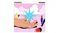 Surfing - Visions
