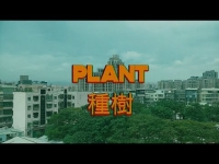 Folk9 - Plant