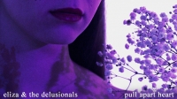 Eliza & The Delusionals - Pull Apart Heart