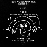 Bon Iver - PDLIF