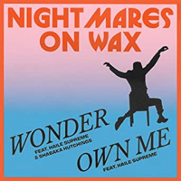 Nightmares on Wax - Own Me (Ft. Haile Supreme)