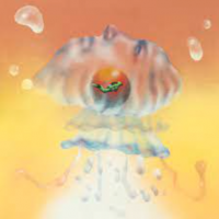 Sunset Rollercoaster - Jellyfish (Ft. Michael Seyer)