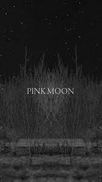 Nick Drake - Pink Moon (Aurora Cover)