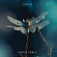 Amon Tobin - Surge (16Bit Remix)
