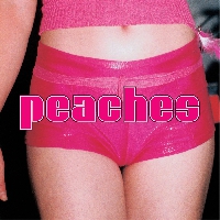 Peaches - Lovertits Ft. Gonzales (Feist Cover)