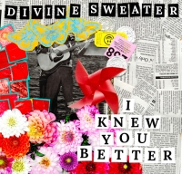 Divine Sweater - I Knew You Better