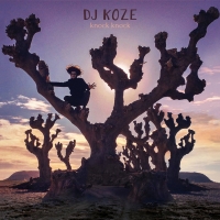 DJ Koze - Illumination (Ft. Roísín Murphy)