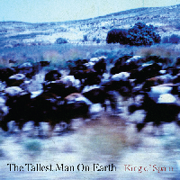 The Tallest Man On Earth - Graceland (Paul Simon Cover)