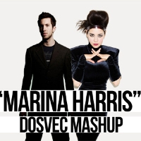 Marina & The Diamonds vs Calvin Harris - Marina Harris (DOSVEC Mashup)