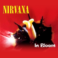 Nirvana - In Bloom (Fink Cover)