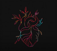 Slenderbodies - Heartbeat