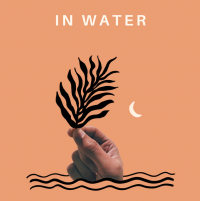 Bay Ledges - In Water