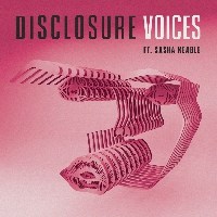 Disclosure - Voices (Wookie RMX)