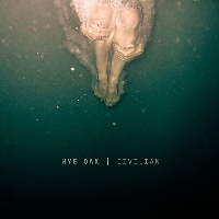 Wye Oak - Fish